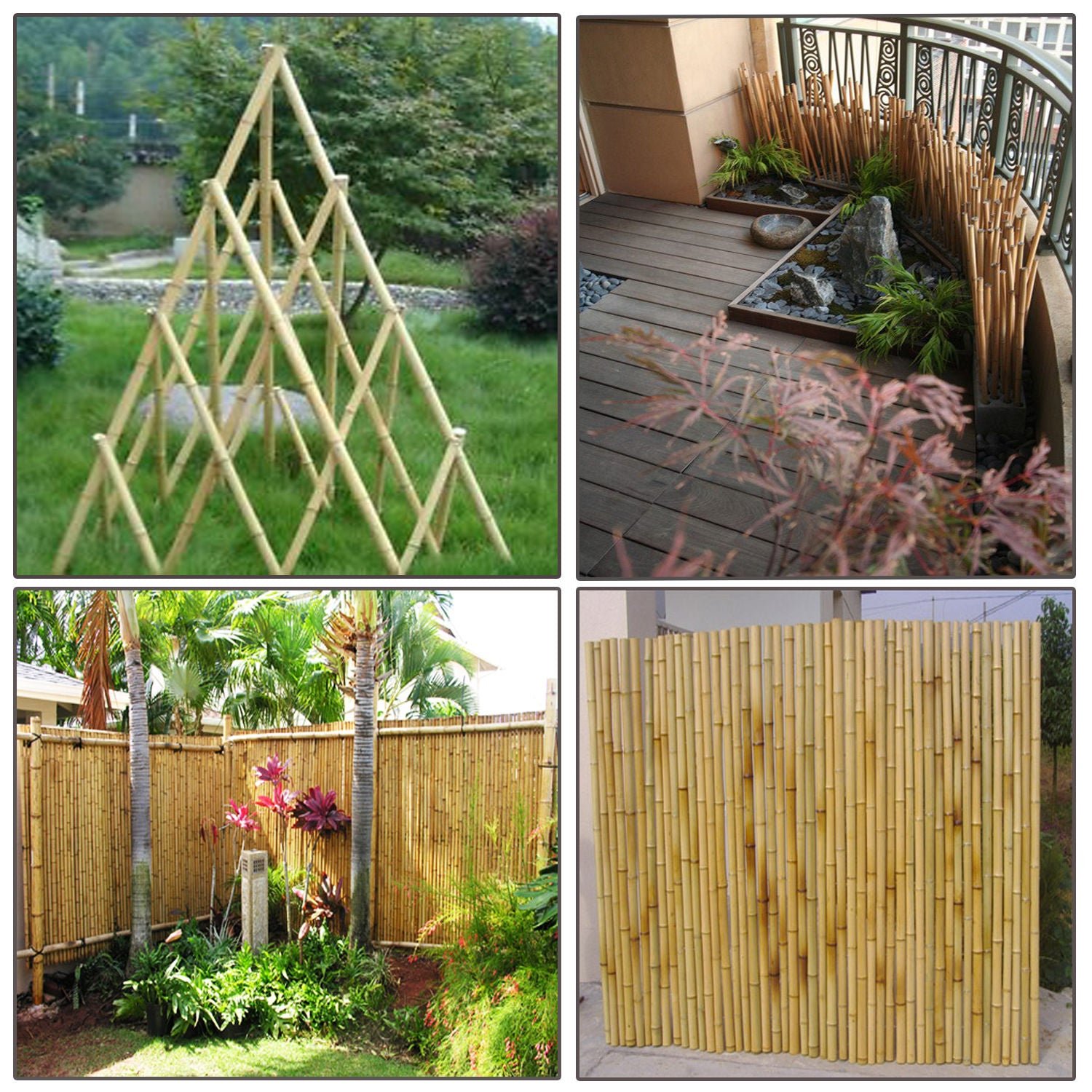 bamboo.jpg Bamboo Canes 6ft - Image 1