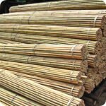 5ft Bamboo Canes Pack of 50