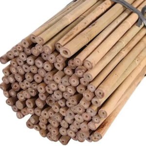 6ft (pack of 10) Bamboo Canes Plant Supports for Outdoor Plants